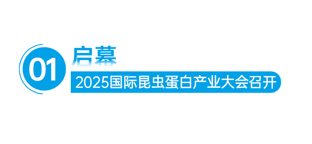 笨农集团 新闻资讯配图