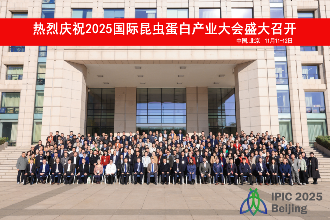笨农集团 新闻资讯配图
