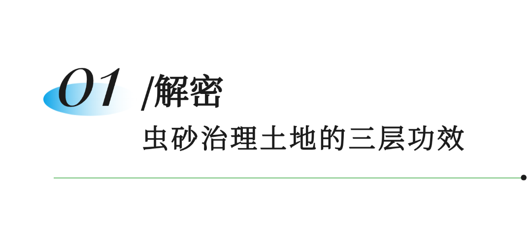 笨农集团 新闻资讯配图