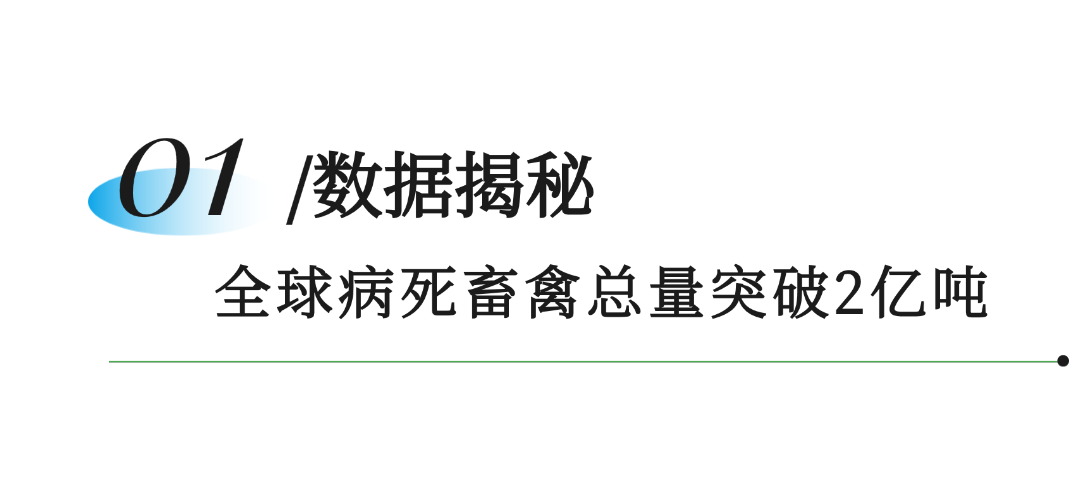 笨农集团 新闻资讯配图