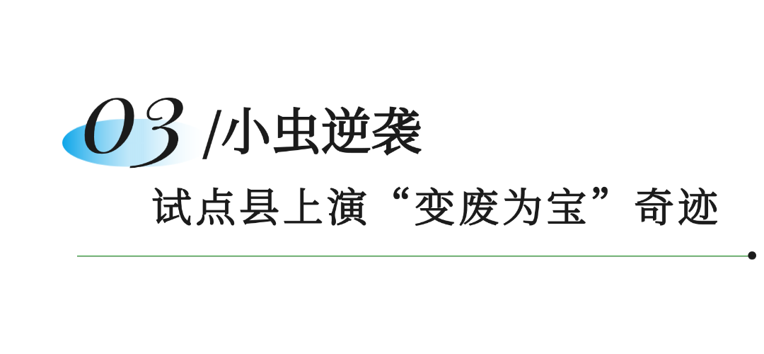 笨农集团 新闻资讯配图