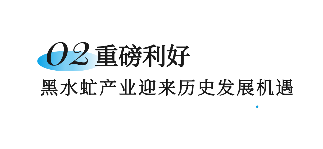 笨农集团 新闻资讯配图