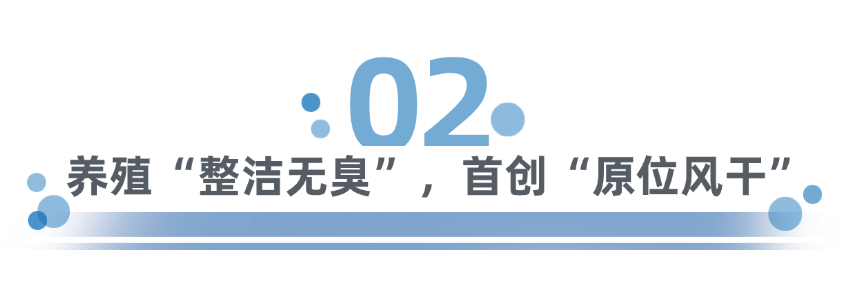 笨农集团 新闻资讯配图