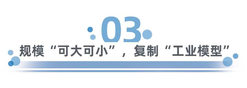 笨农集团 新闻资讯配图