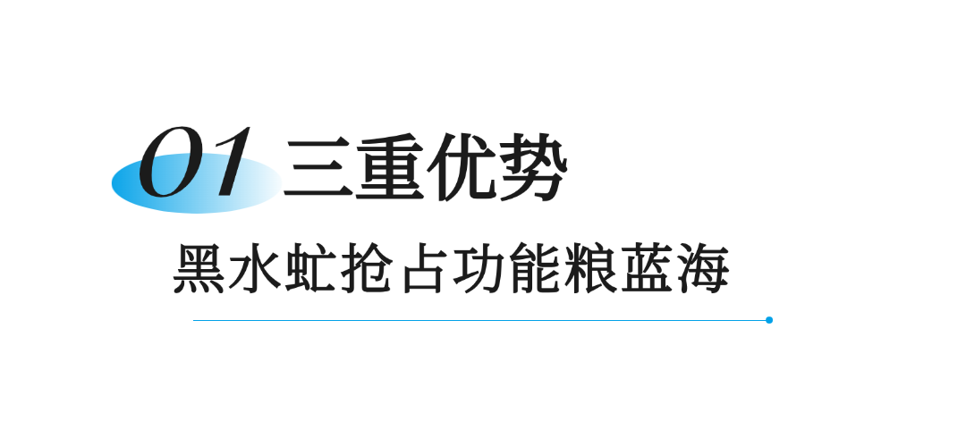 笨农集团 新闻资讯配图