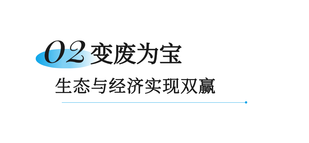 笨农集团 新闻资讯配图