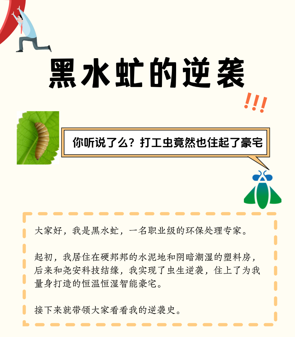 告别毛坯大通铺，住进科技大平层！黑水虻养殖迈入“全屋智能”时代