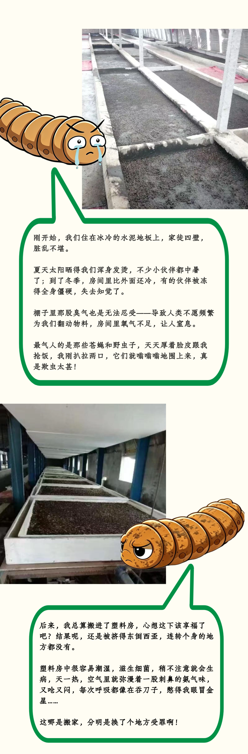 笨农集团 新闻资讯配图