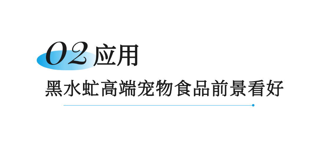 笨农集团 新闻资讯配图