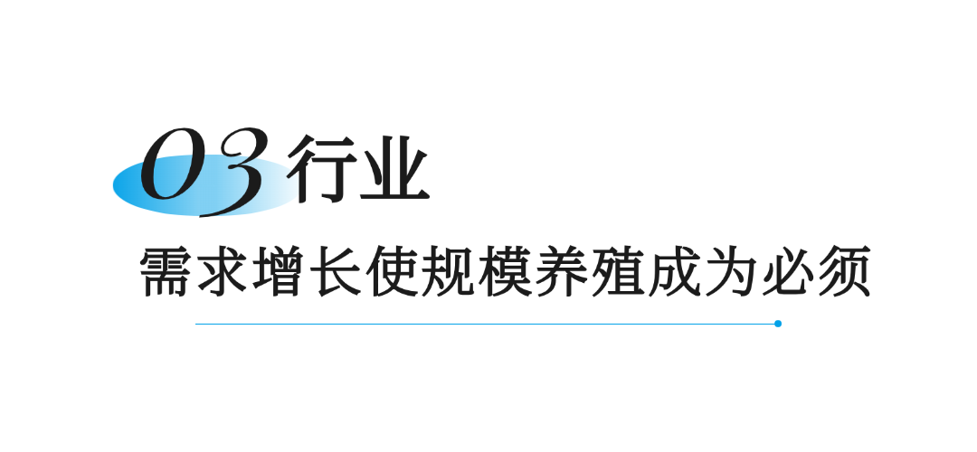 笨农集团 新闻资讯配图