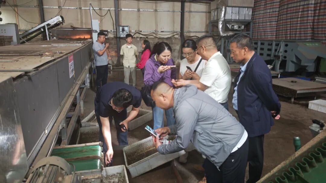 南京大学及牧原实验室专家组莅临考察黑水虻智能化养殖设备