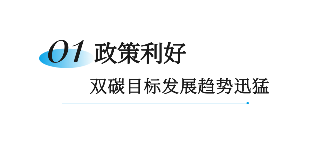 2026上半年双碳目标加速推进，黑水虻行业如何把握机遇
