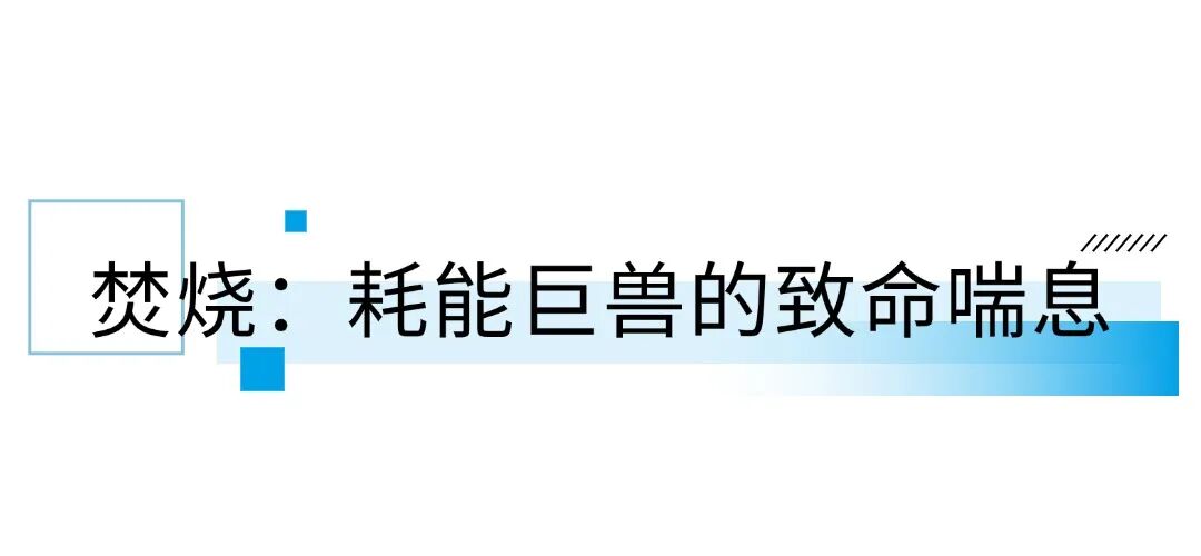 笨农集团 新闻资讯配图