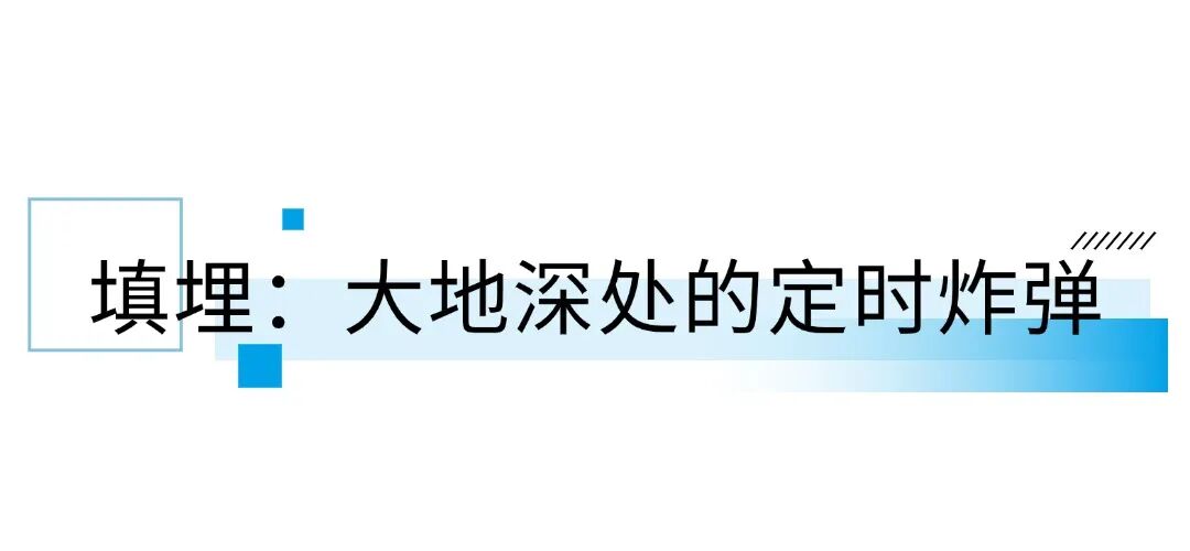 笨农集团 新闻资讯配图