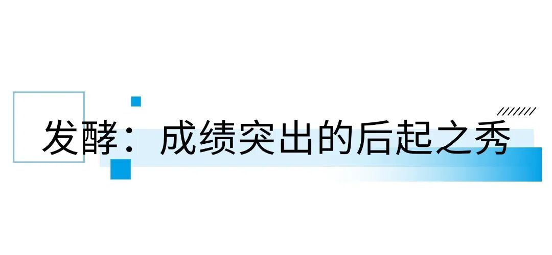 笨农集团 新闻资讯配图