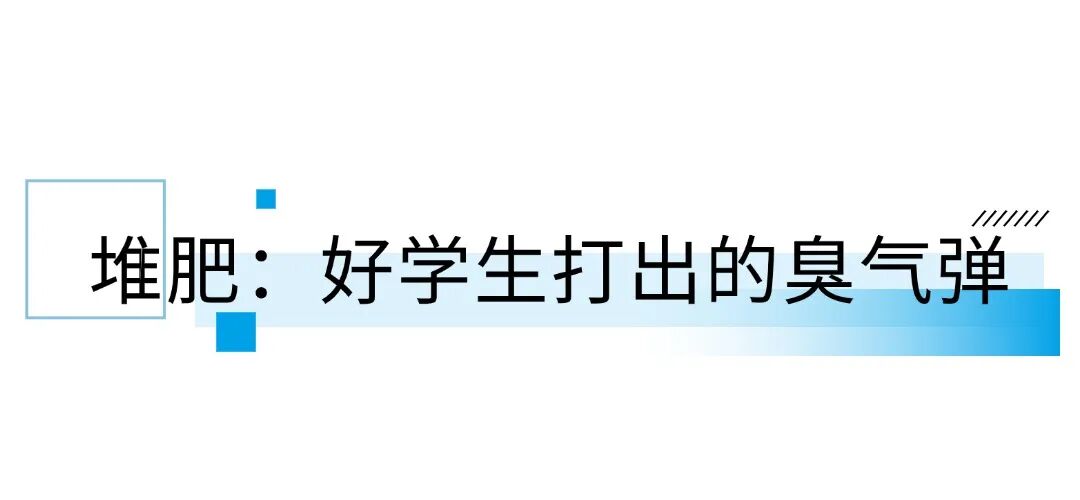 笨农集团 新闻资讯配图