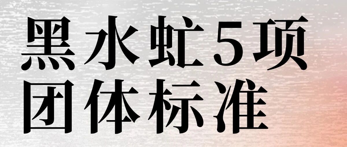 笨农集团 新闻资讯配图