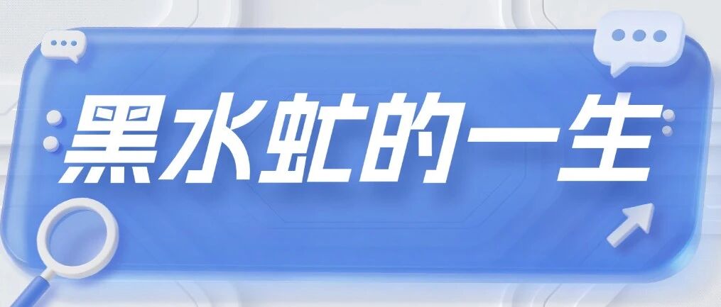 笨农集团 新闻资讯配图
