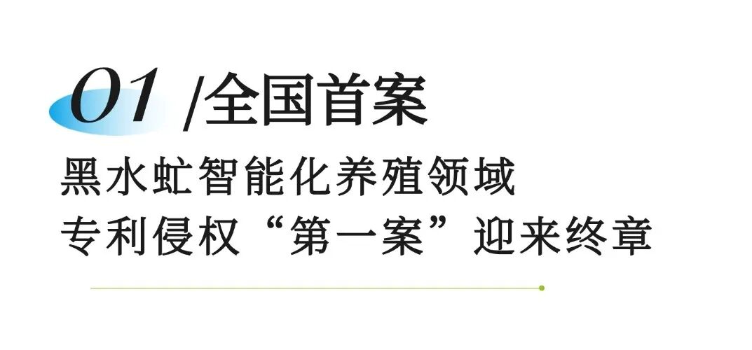 赠送锦旗